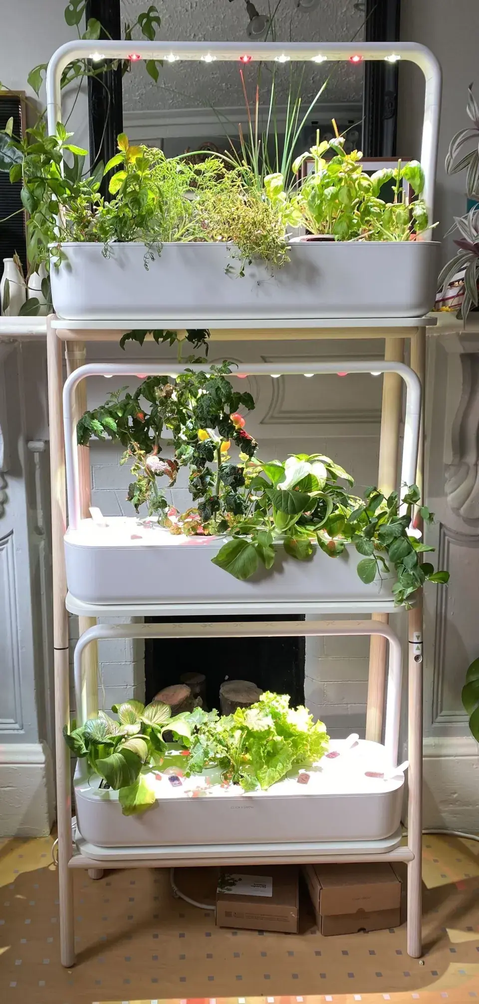 Domácí automatická pěstírna 