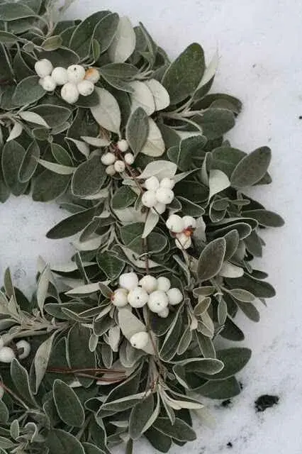 Vánoční věnec na dveře z jmelí 