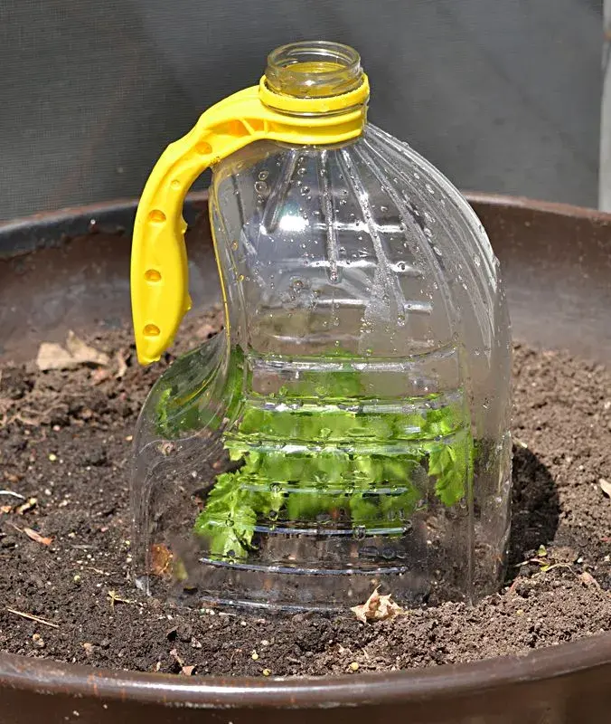 Recyklace a upcyklace PET lahví