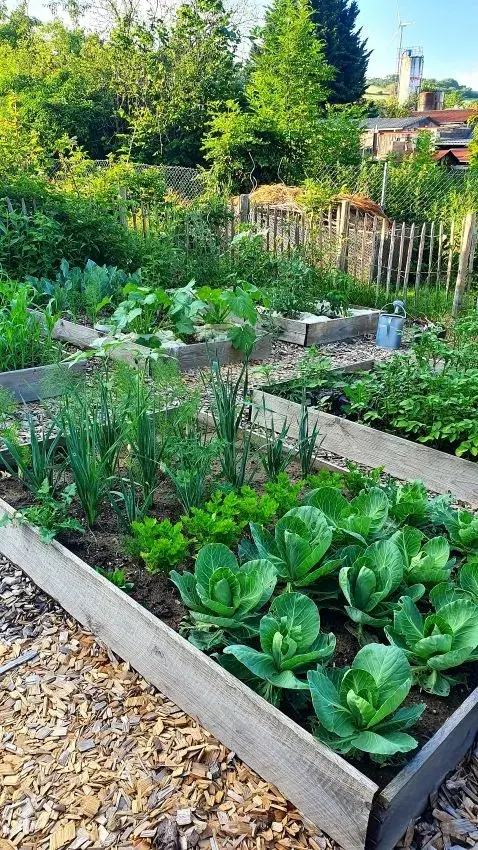 Novinky z pohledu zákonů