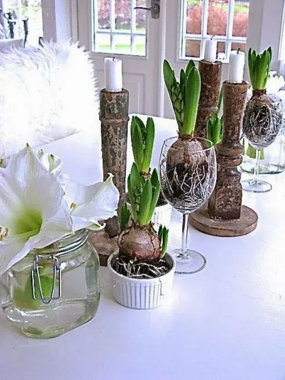 Jarní cibuloviny, které ozdobí vaše vánoční dekorace