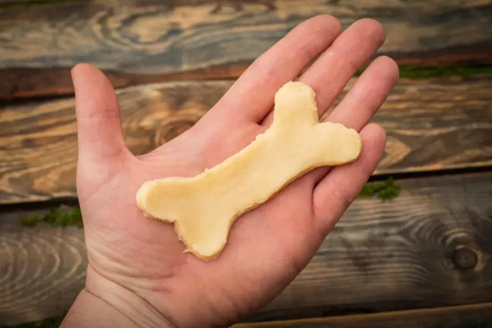 Vánoce s mazlíčky