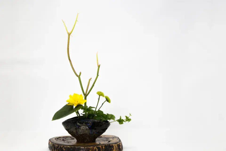 Ikebana