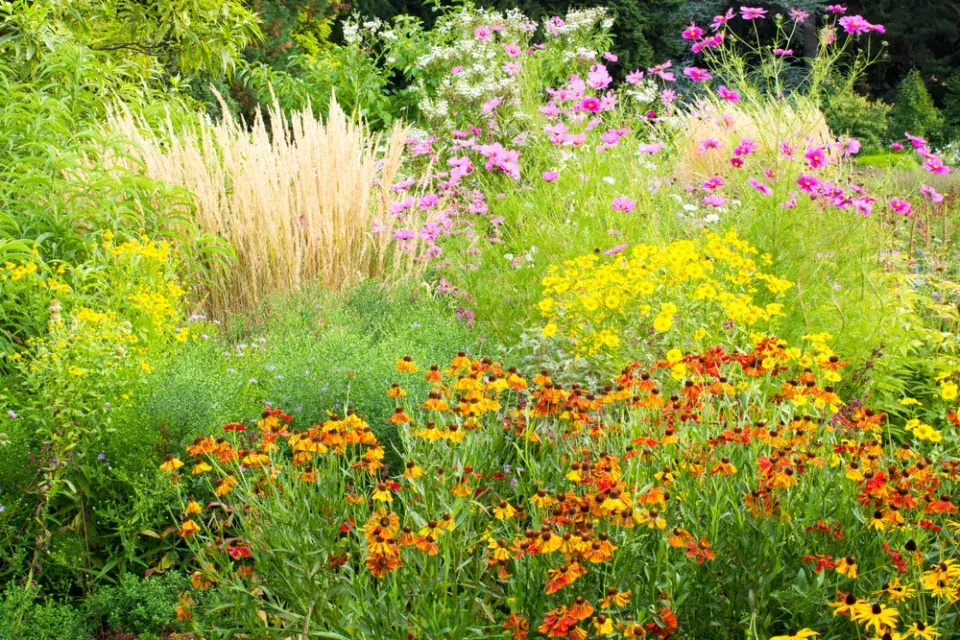 Nebojíme se barev a kombinací rostlin