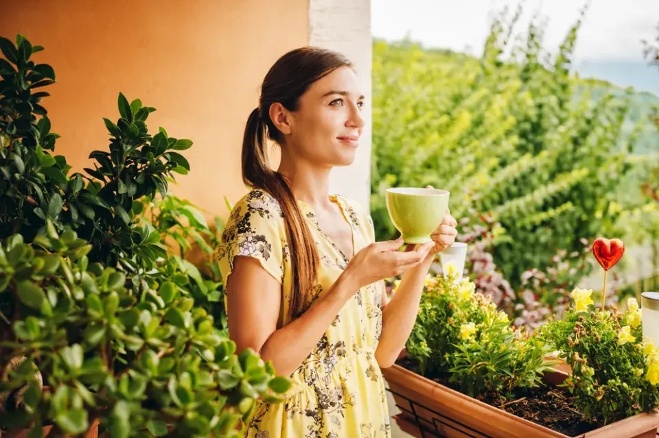 Pěstování rostlin