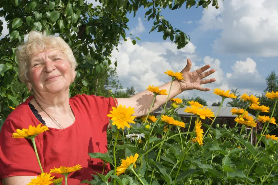 Úspěchy v našich zahradách v roce 2025