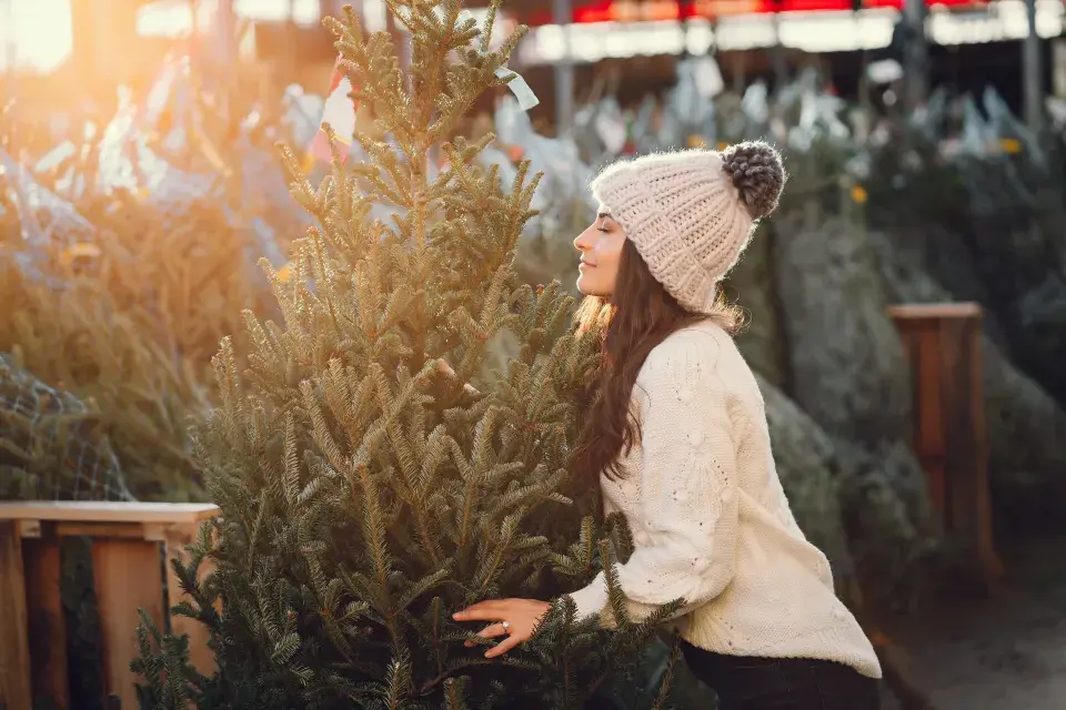 Vánoční stromeček