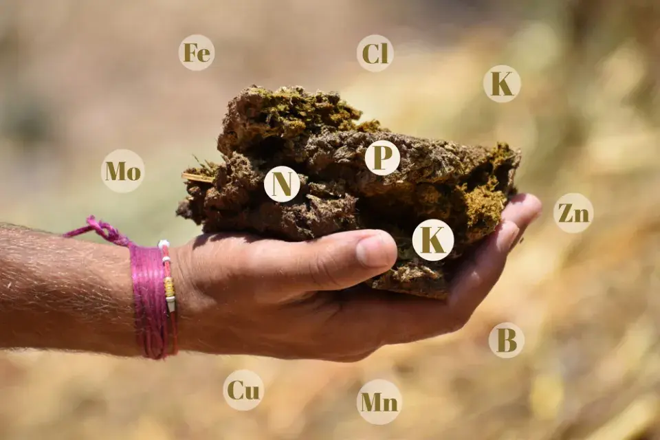 Novinky z pohledu zákonů