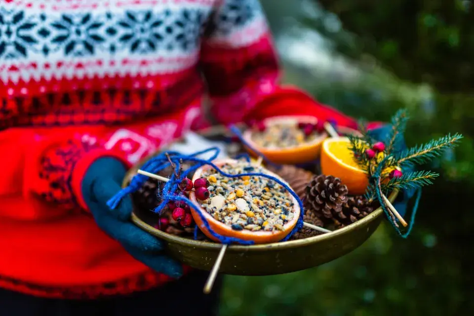 krmítko z pomeranče