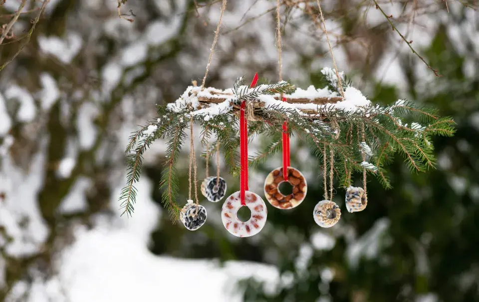 Vánoční krmítka pro ptáky