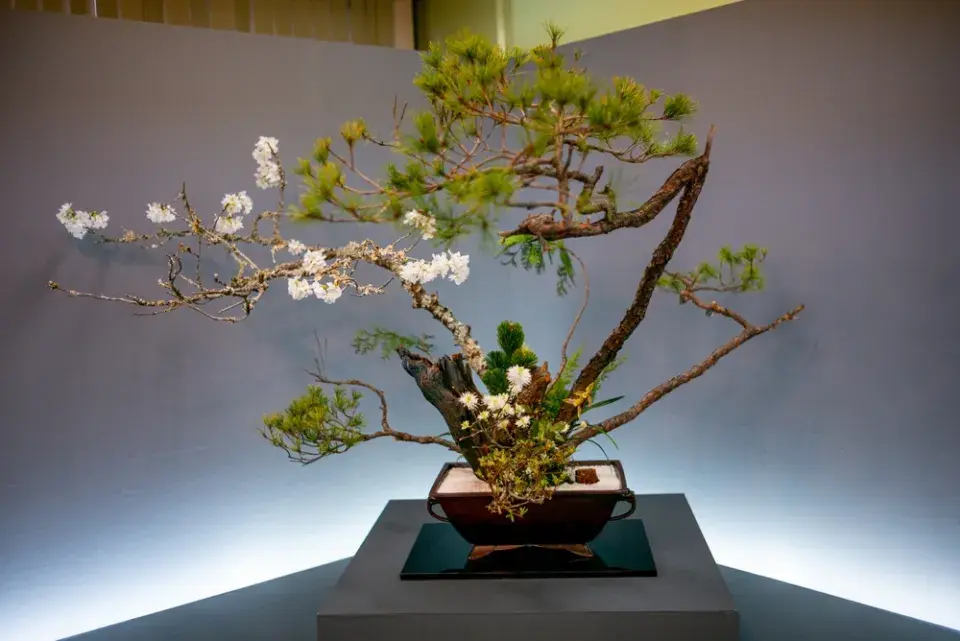 Ikebana