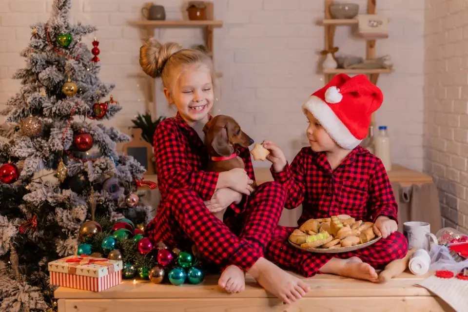 Vánoce s mazlíčky