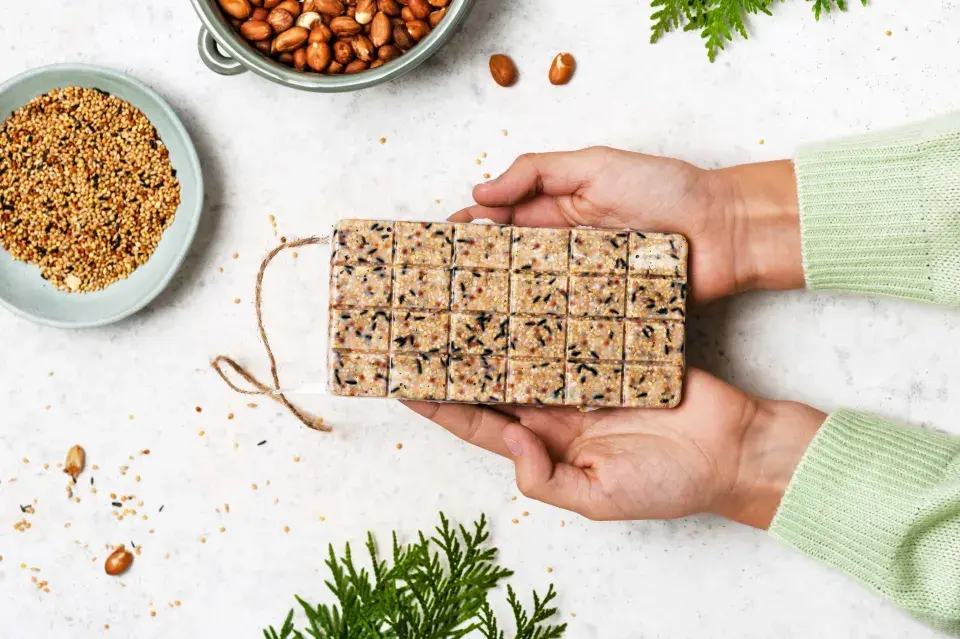 Vánoční krmítka pro ptáky