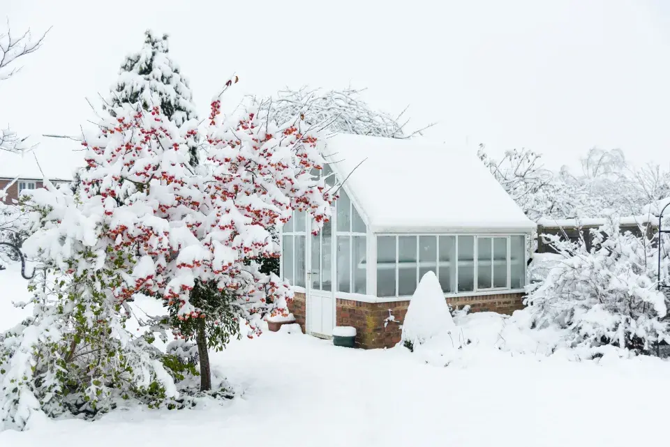 Skleník v zimě