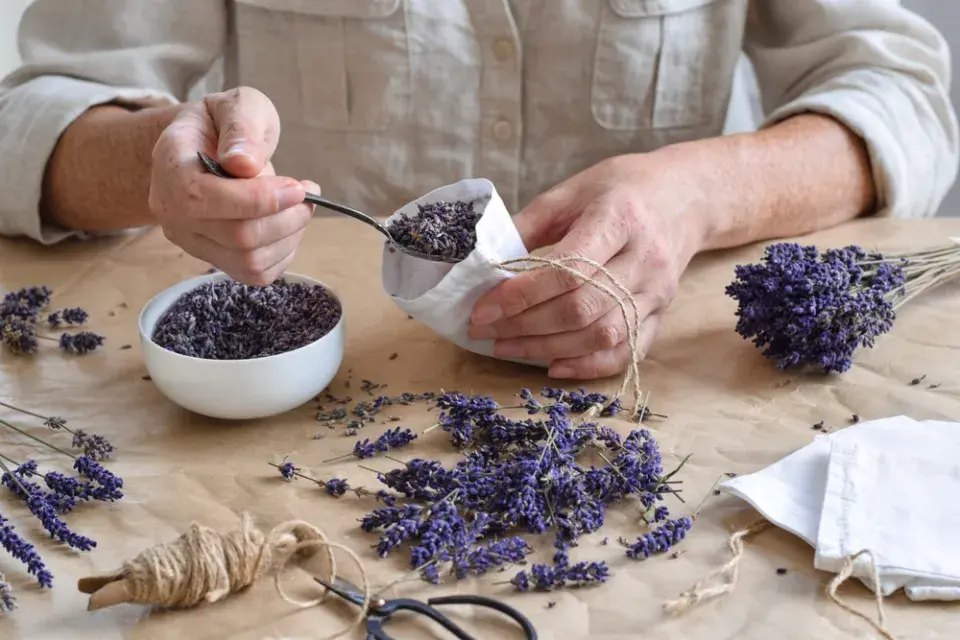 Vánoční bylinková směs pro štěstí