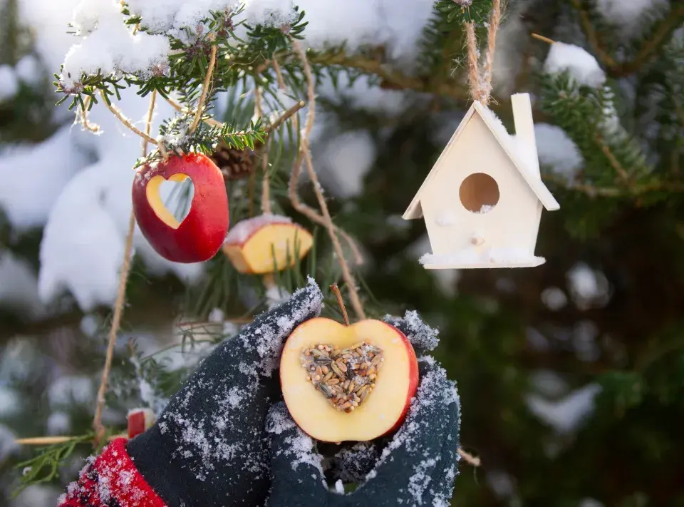 Vánoční krmítka pro ptáky