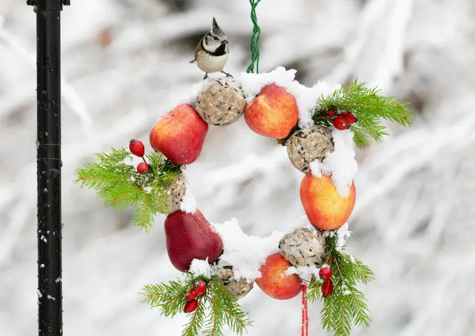 Vánoční krmítka pro ptáky