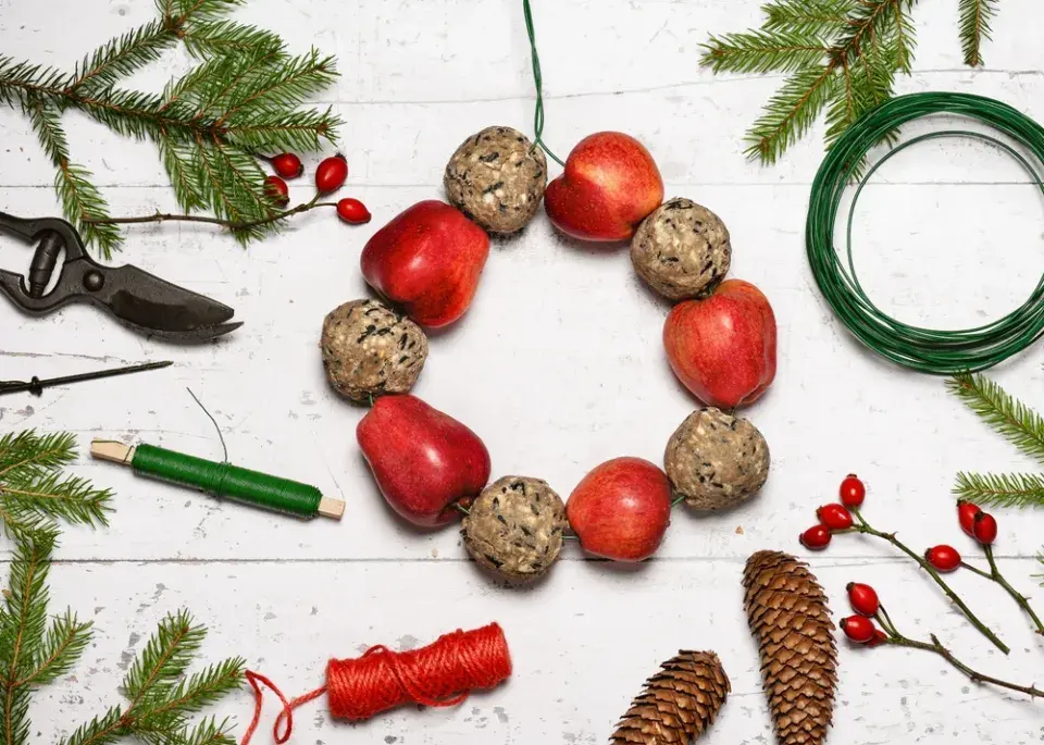 Vánoční krmítka pro ptáky