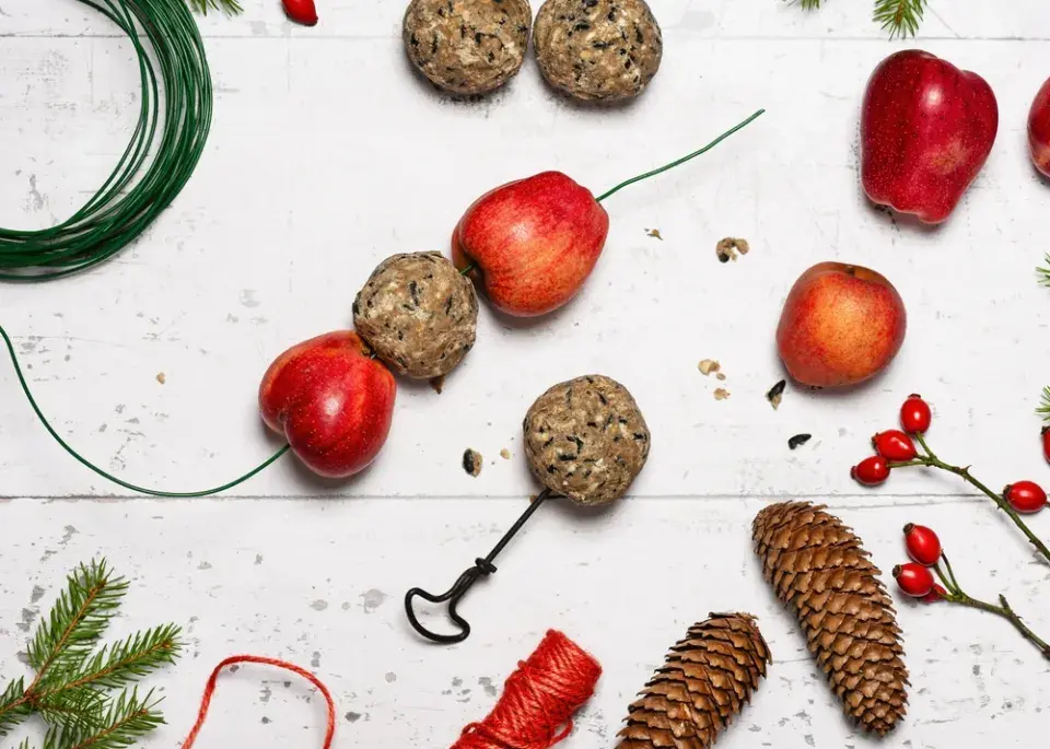 Vánoční krmítka pro ptáky