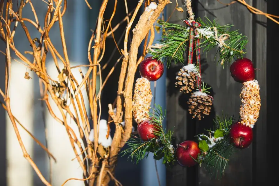 Vánoční krmítka pro ptáky