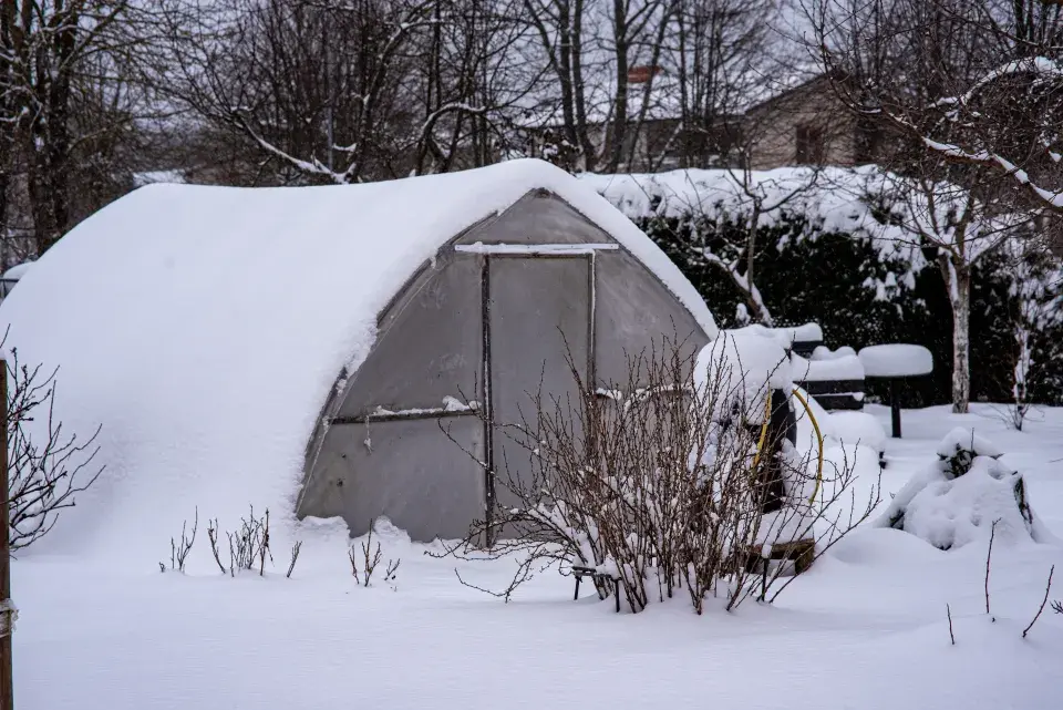 Skleník v zimě