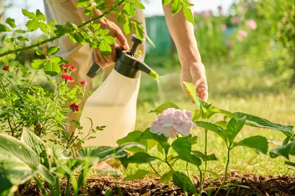 Užiteční pavouci v zahradě