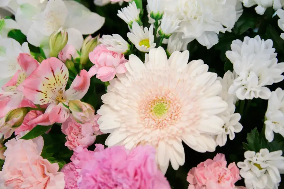 Vhodný výběr květin