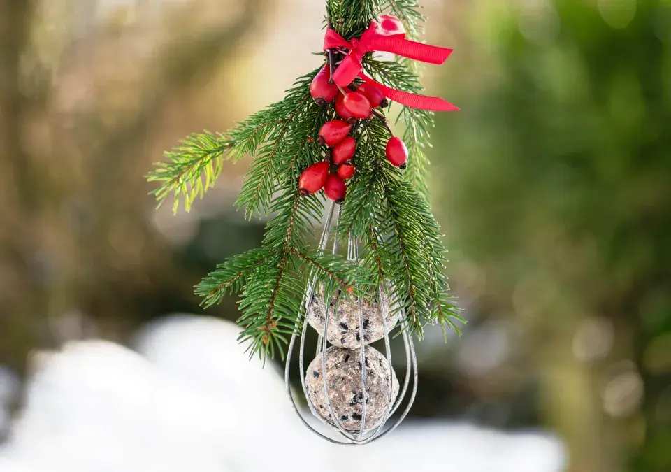 Vánoční krmítka pro ptáky