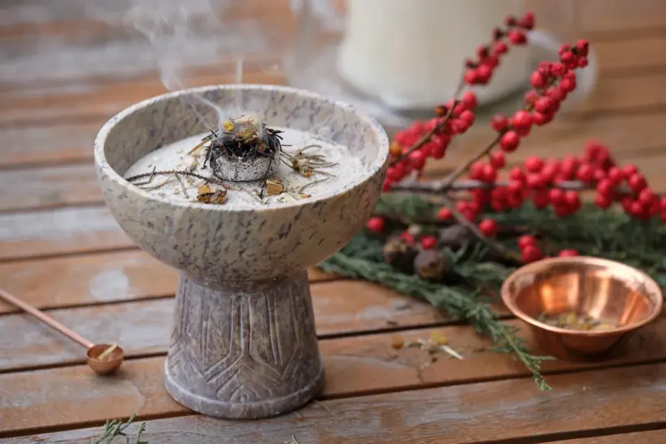 cesmína přeslenitá (Ilex verticillata)