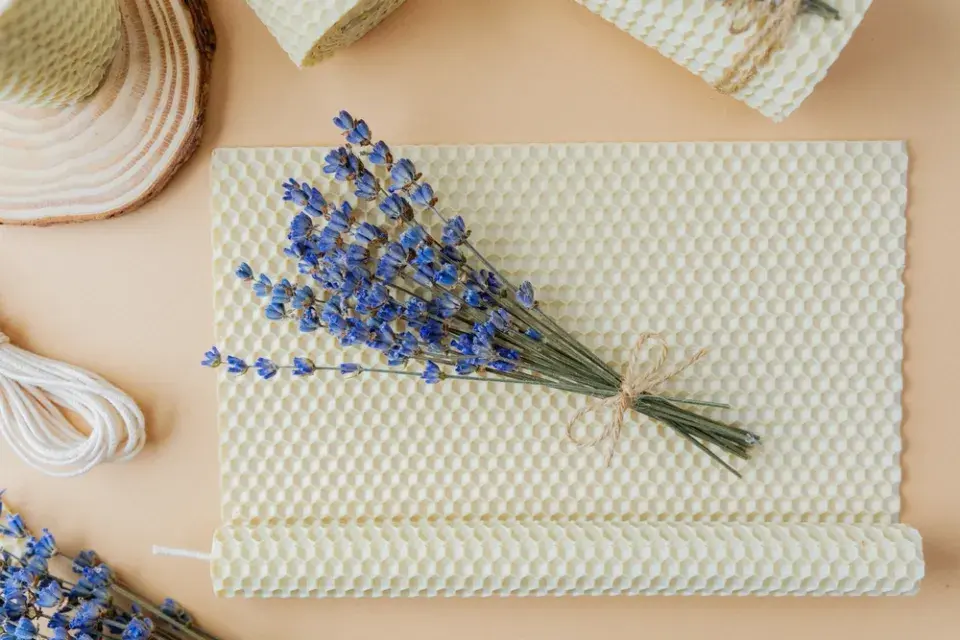 Kytičky z levandule