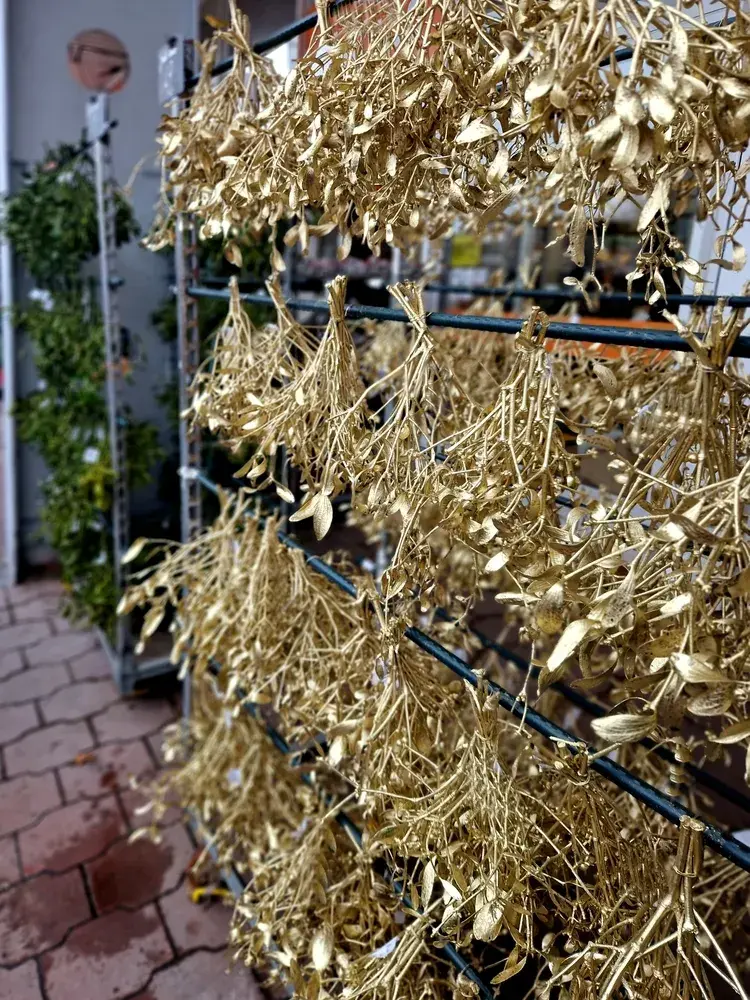 Jmelí není jen dekorace