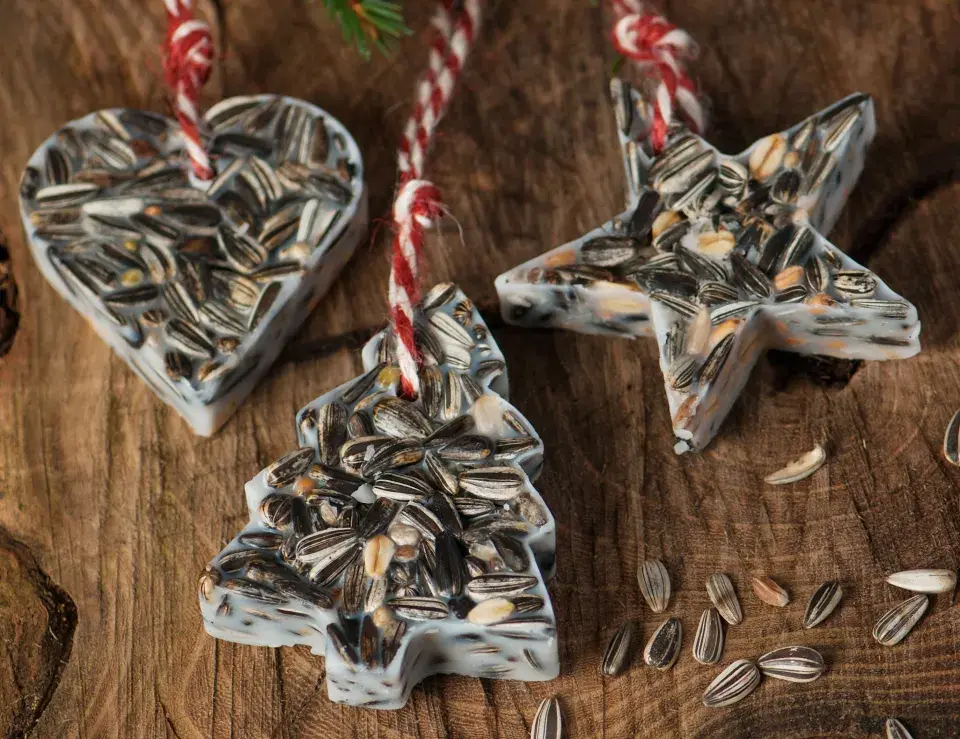 Foto 1 k článku Televizi už potřebovat nebudete: Stačí jedno ptačí krmítko a zahrada se promění v živou pohádku