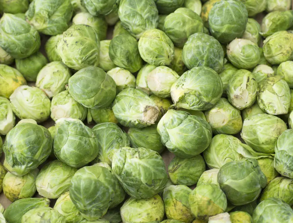 Zimní zelenina zajistí přísun vitamínů