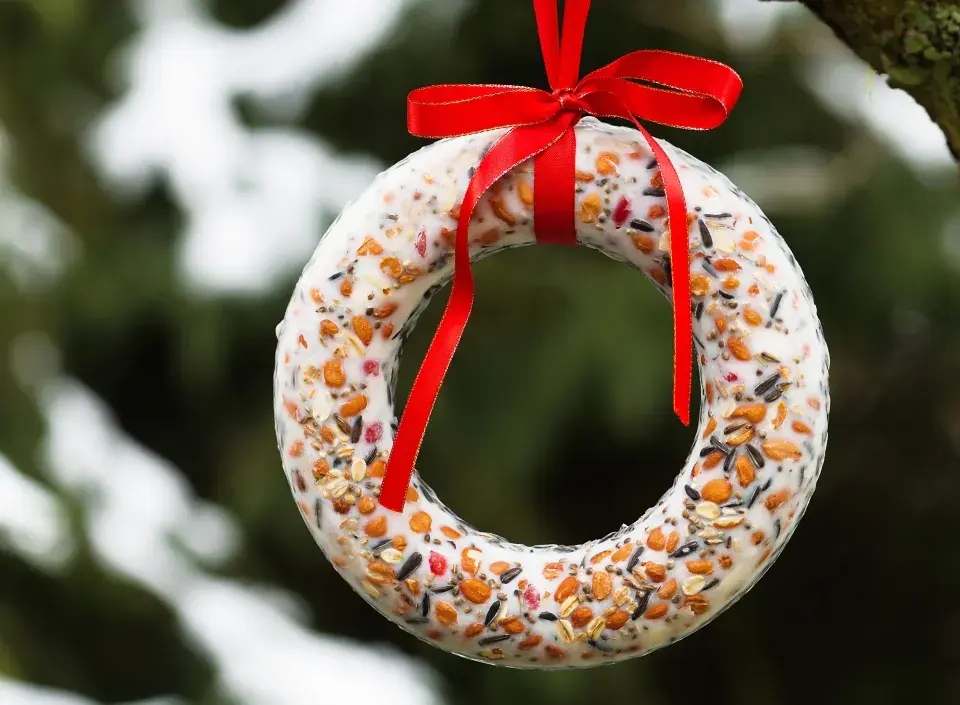 Foto 2 k článku Televizi už potřebovat nebudete: Stačí jedno ptačí krmítko a zahrada se promění v živou pohádku