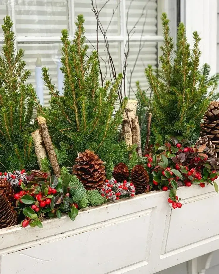 Vánoční truhlíky