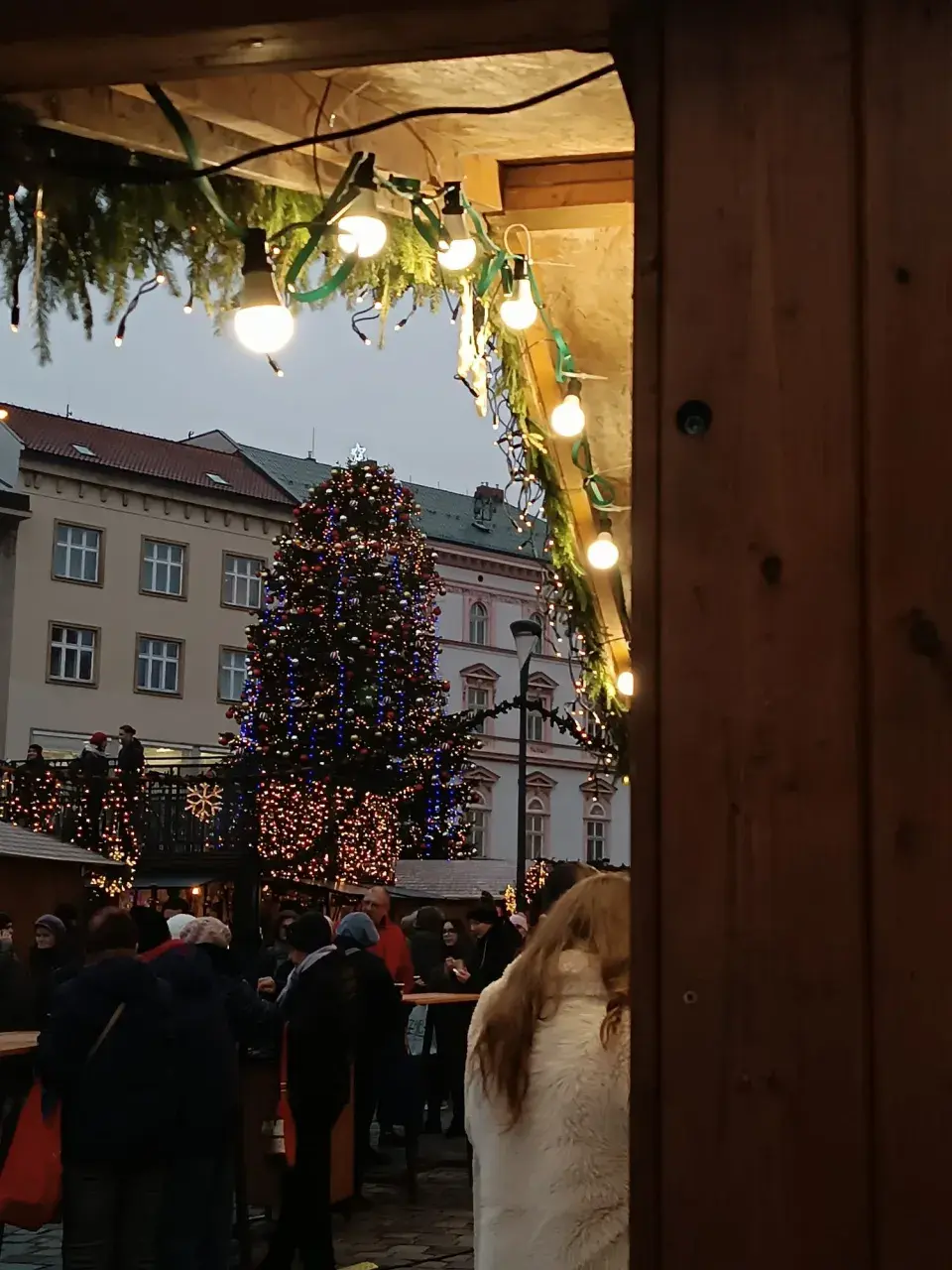 Pohled na stromeček