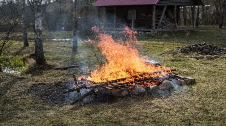 Co na zahradě dělat jako první, když sleze sníh a půda povolí?