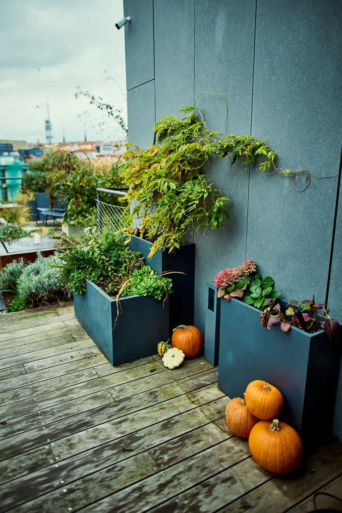 Bydlení Milana Peroutky