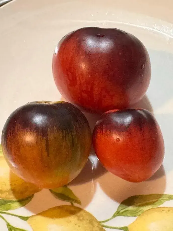 Pomme d'Or de St. Jean de Beauregard 