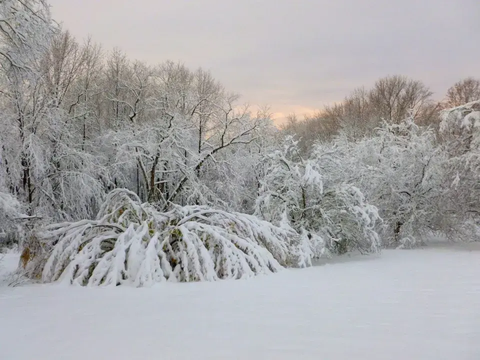 Předpověď počasí slibuje pořádnou chumelenici. Nezajdete raději na výstavu?