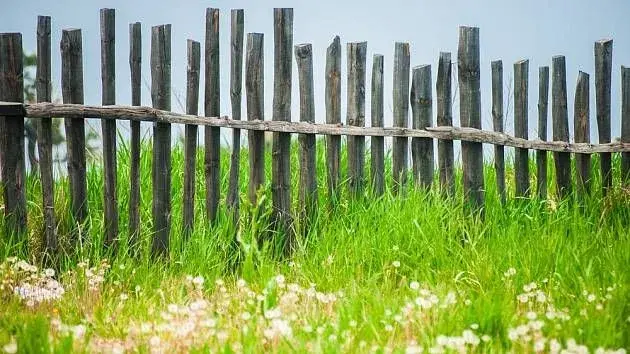 Nejčastější spory se sousedy vznikají kvůli stavbám na zahradě, ale i z malicherností