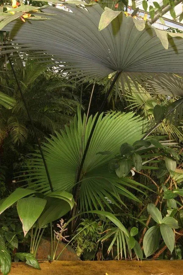 Předpověď počasí slibuje pořádnou chumelenici. Nezajdete raději na výstavu?