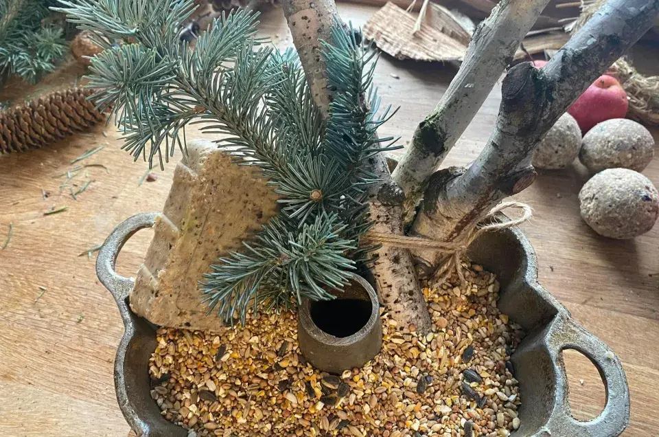 krmítko z formy na bábovku