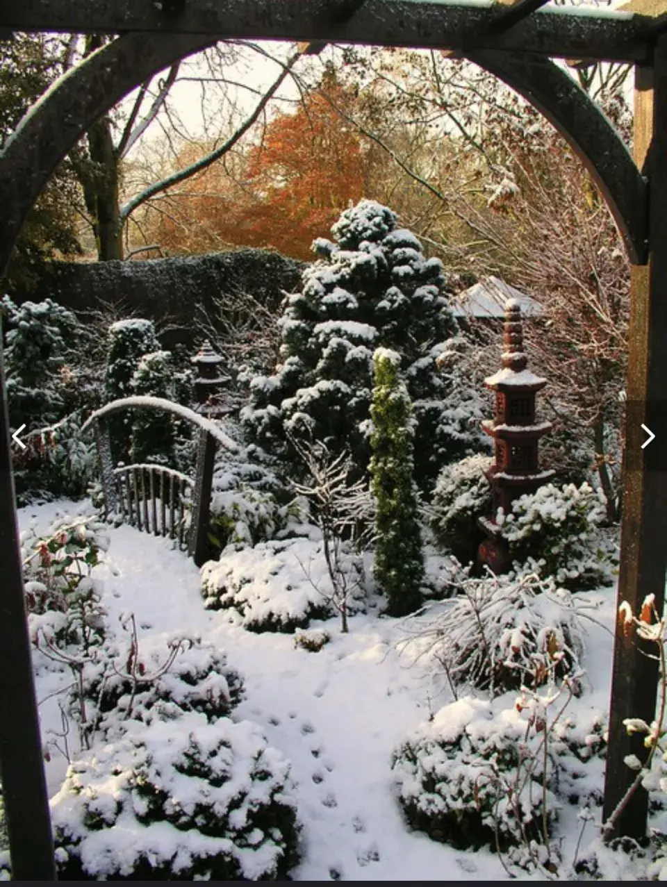 Zahrada pod sněhem 