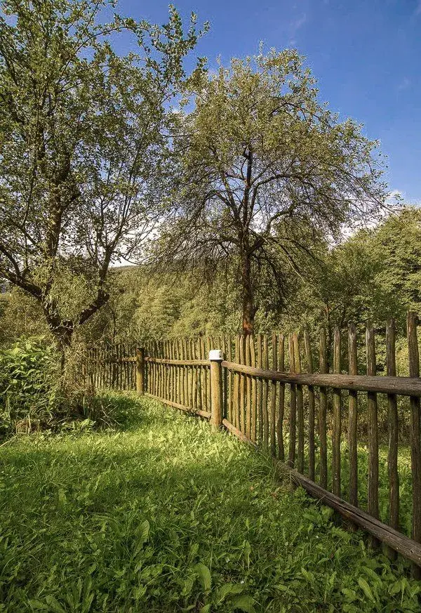 Nejčastější spory se sousedy vznikají kvůli stavbám na zahradě, ale i z malicherností