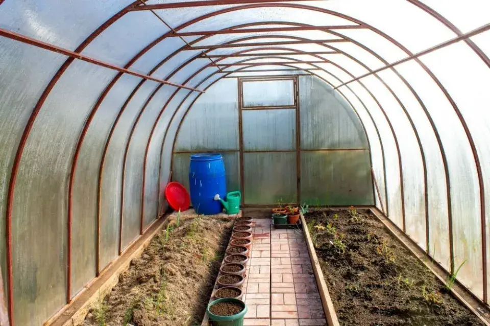 Příprava skleníku na pěstování zeleniny