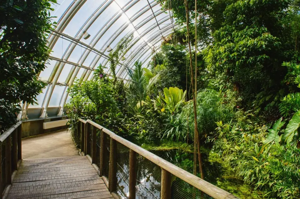 Předpověď počasí slibuje pořádnou chumelenici. Nezajdete raději na výstavu?