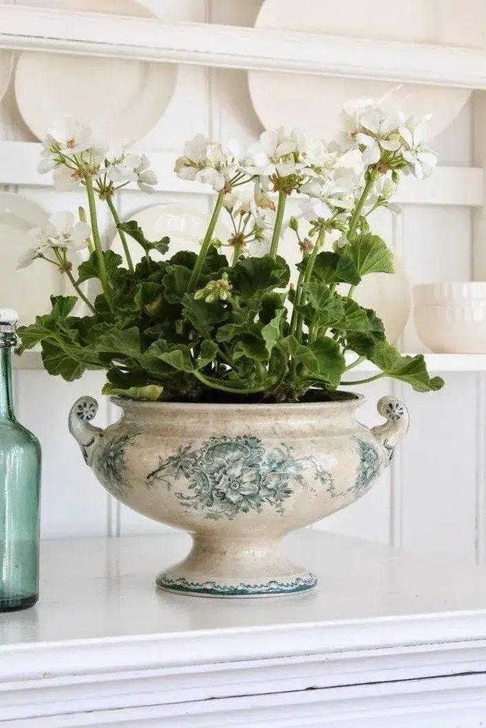 Nádoby na pěstování