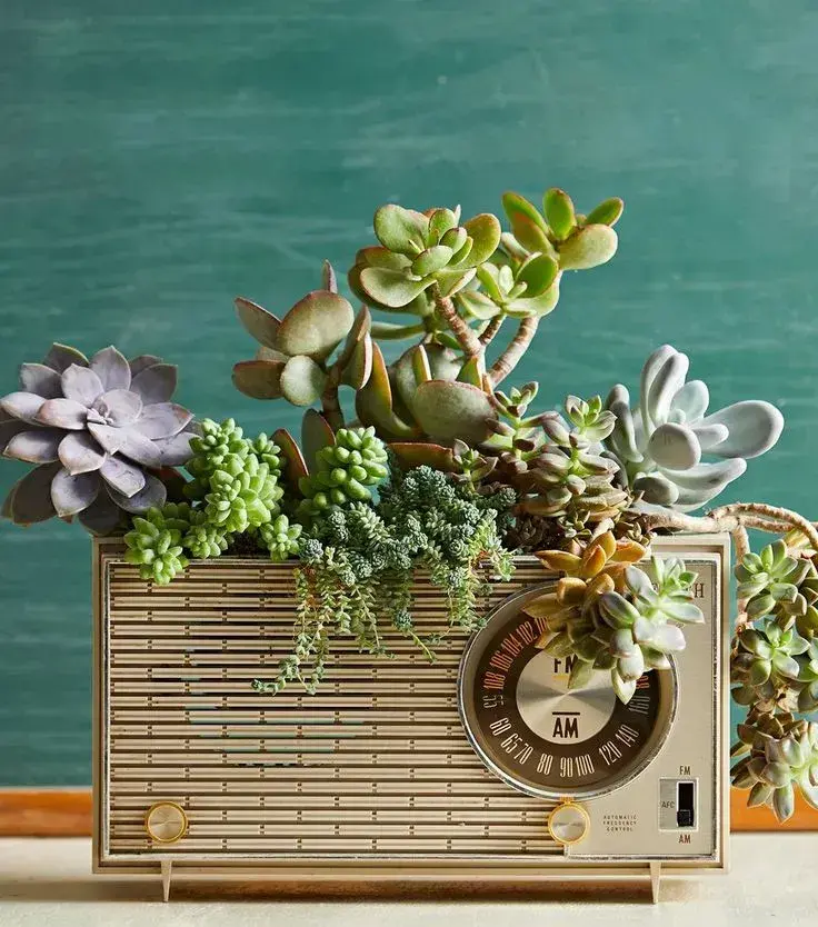 Nádoby na pěstování