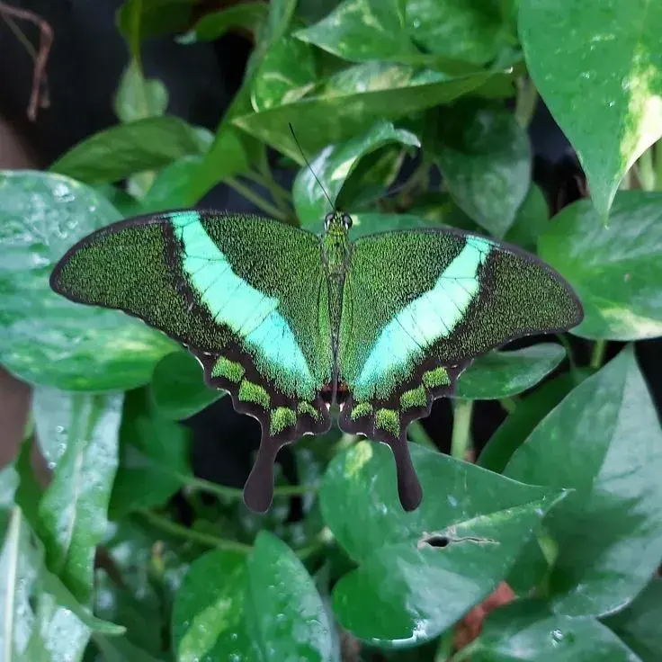 Pololetní prázdniny